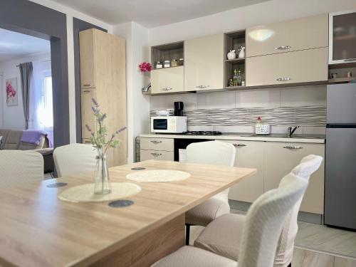 virtuve, Apartman Marta in Briševo