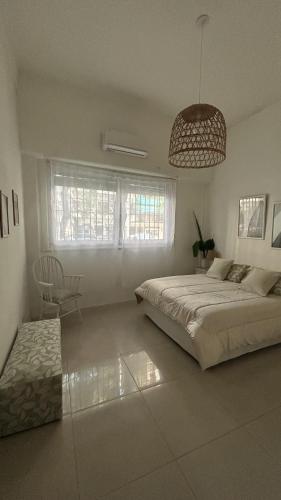 Goyena Jungle, Buenos Aires