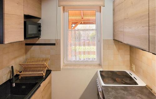 кухня, 2 Bedroom Pet Friendly Home In Prabuty in Любіхово