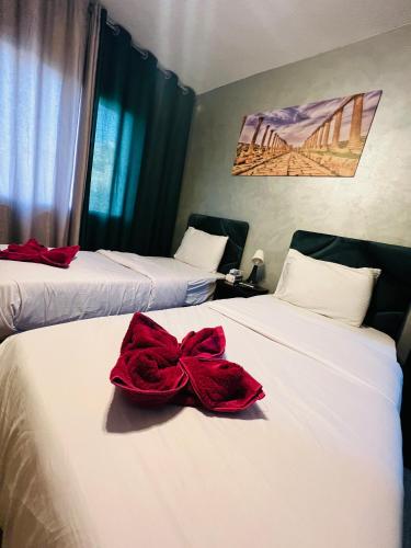 Deluxe Twin Room image 4