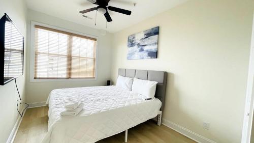 The best location Spacious ocean view 7BR pool - image 3