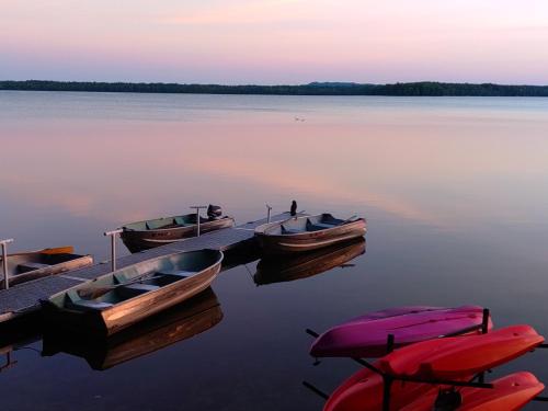 Lakefront! Twin Birch Resort - The Red Laker in Honor, USA
