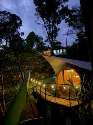 Glamping in jungle - Corcovado Nature Wonders - amazing views - available scooter, Puerto Jiménez (Foto 7)