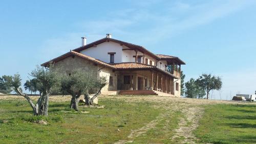 Sakura Vera - image 10