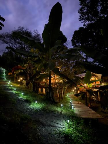 Glamping in jungle - Corcovado Nature Wonders - amazing views - available scooter, Puerto Jiménez (Foto 6)