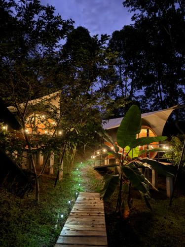 Glamping in jungle - Corcovado Nature Wonders - amazing views - available scooter, Puerto Jiménez (Foto 9)