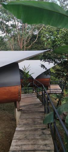 Glamping in jungle - Corcovado Nature Wonders - amazing views - available scooter, Puerto Jiménez (Foto 10)