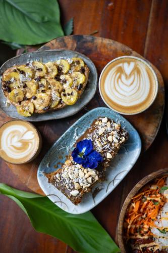 Wonderland Wonderland