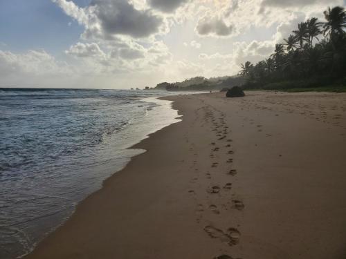 Atlantic Breezes in Bathsheba