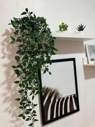 Apartmento Xbox WFI TV65 PC Love Relax Work