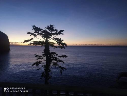 Fare Mahina ocean view in Mahina