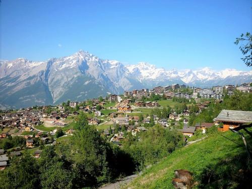 Alentours, Apartment in Nendaz near Ski Lift & Sauna in Nendaz