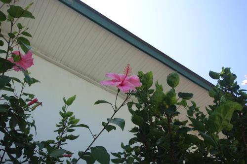 漂流者旅馆  漂流者旅馆