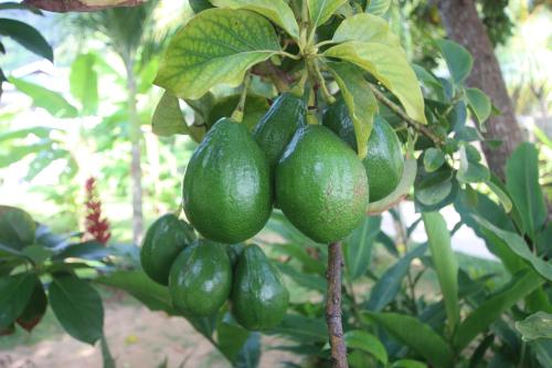 漂流者旅馆  漂流者旅馆