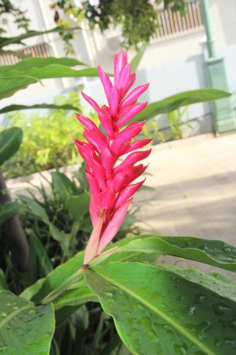 漂流者旅馆  漂流者旅馆