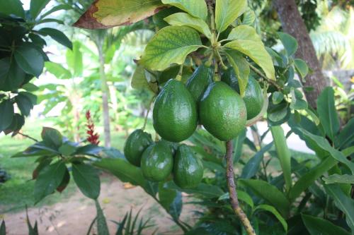 漂流者旅馆  漂流者旅馆