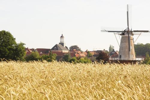 Erve Höwerboer - image 7