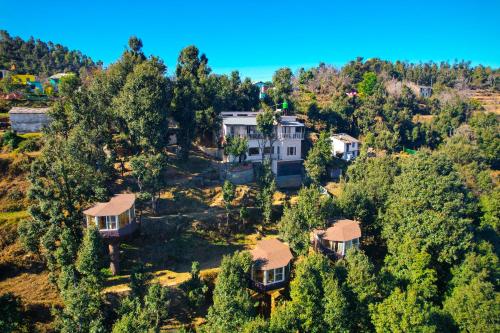 Treecasa Resort 3