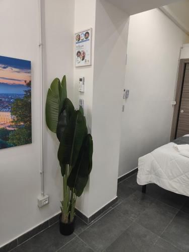  ROMEO & PEPITA in Turin