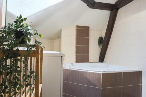 Fürdőszoba, L'escale Tropicale, Centre ville in Mulhouse Városközpont