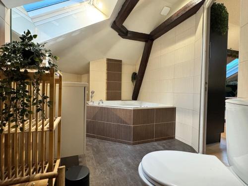 Fürdőszoba, L'escale Tropicale, Centre ville in Mulhouse Városközpont