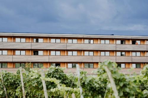 Sonnenhotel Weingut Römmert - image 8