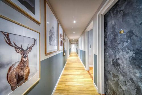 R'Apparts Luxury Studio 8 in Quartier Capuche-Allies