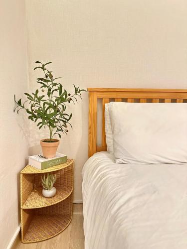 갓성비 암사역 도보 Yes24live 암사종합시장 한강공원 KSPO 2룸 2퀸 침대