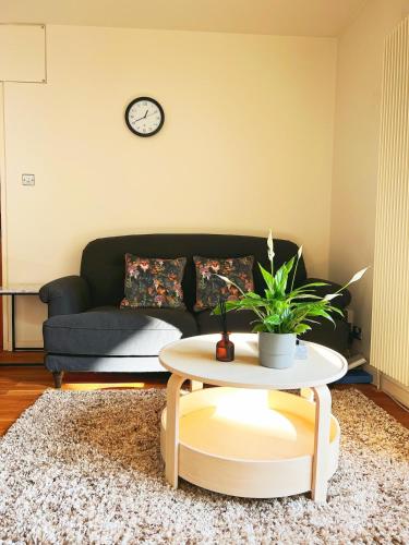 Luxury Apartment at Edinburgh, Edinburgh