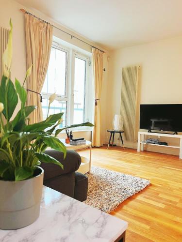 Luxury Apartment at Edinburgh, Edinburgh (fotografie 4)