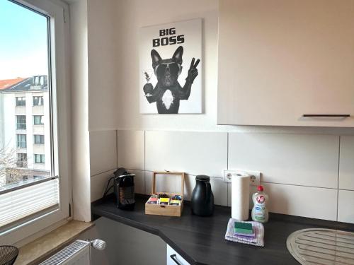 GÖH-moderne Wohnung in zentraler Lage, Balkon, self-check-in, WLAN, Netflix, DisneyPlus, Hannover (fotografie 7)