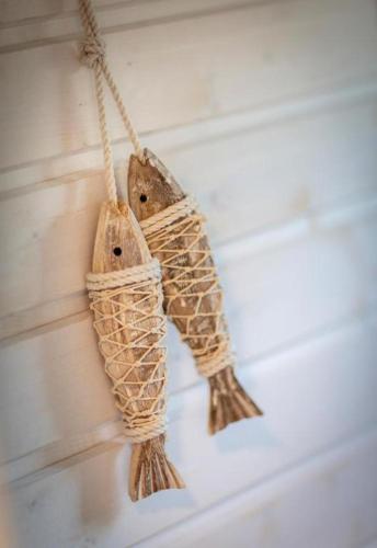 Hausboot Rán mit Dachterrasse in Schleswig (Hausboot Ran mit Dachterrasse in Schleswig) in Sleeswijk