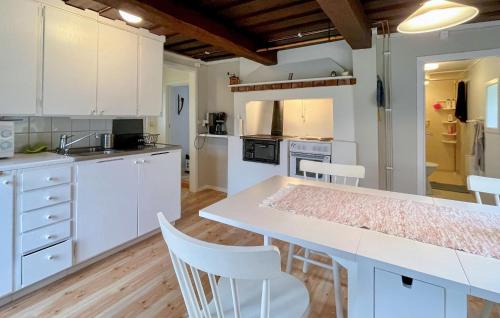 virtuve, 1 Bedroom Amazing Home In Ydre in Bruzaholm