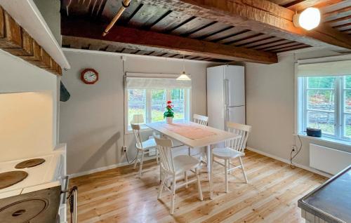 virtuve, 1 Bedroom Amazing Home In Ydre in Bruzaholm