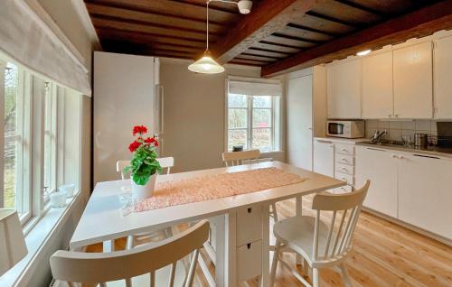virtuve, 1 Bedroom Amazing Home In Ydre in Bruzaholm