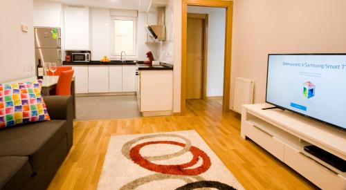  Apartamentos Amaiur in Estella