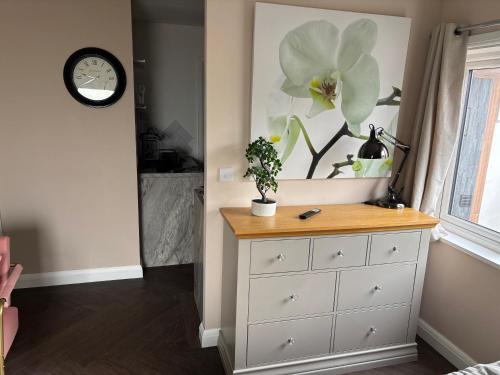 1 double bed studio with private access and parking, Plymouth (photo 8)