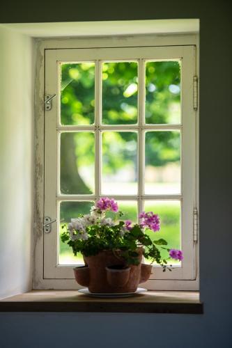 Pet friendly, spacious farmhouse on the Courtomer Estate, Normandy in Saint-Léonard-des-Parcs