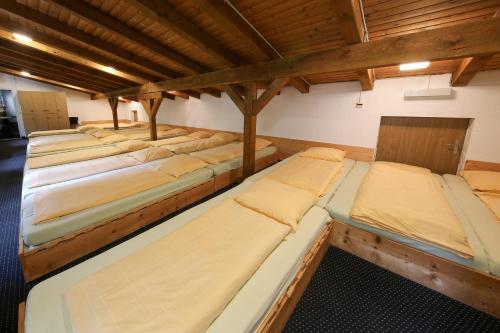 Single Bed in Mixed Dormitory Room