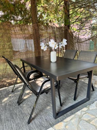 Apartment Villa Zizzy in Grabovac