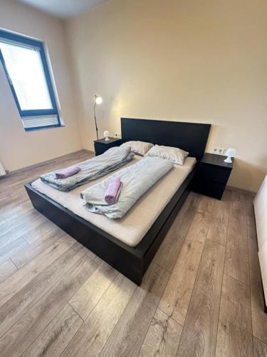 Paradise Comfort, София (фото 9)