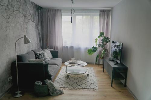 Piękny apartament w zielonej dzielnicy Wrocławia, Wrocław (photo 7)