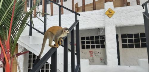 Mi Zaru sea view hotel Free MA park tour & breakfast in قبس