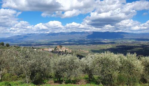 Tuscan Hills - Dimora storica in Chianti
