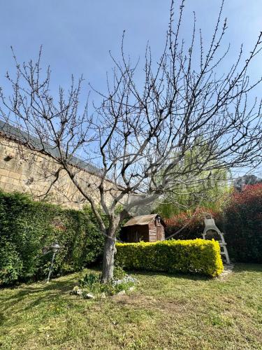 Jardín, Villa Viviana con Piscina "UnaNotteaCasaMia" in Sacrofano