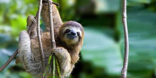 Rio Cuarto Tiny House Rio Cuarto Tiny House