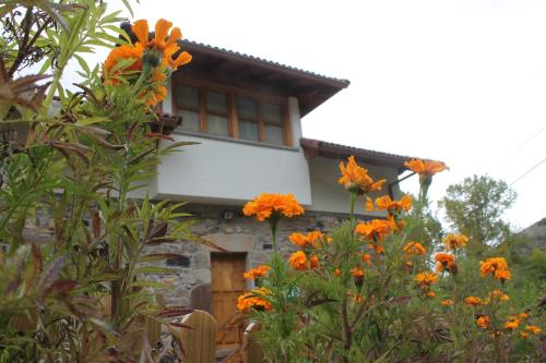 Apartamentos Rurales El Bedular