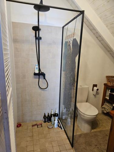 douche, Harbour View House Apartment in Port Elizabeth