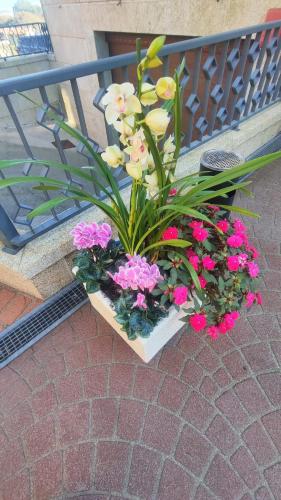 Hotel Apartamento Marouco - image 7