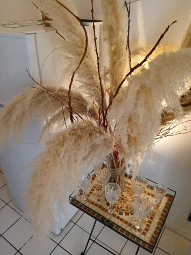 Comme A la Maison chez Domi Coquet T2 avec Jardin Accueil Chaleureux in Rangueil